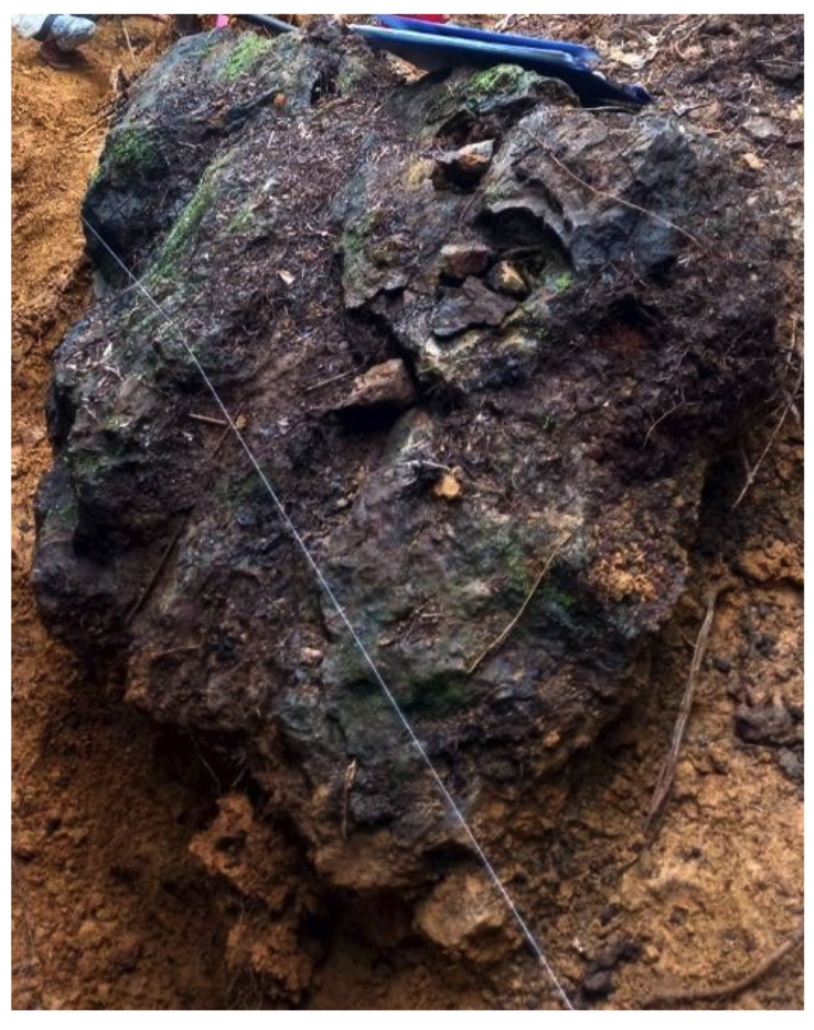 East Normanby Gold-005